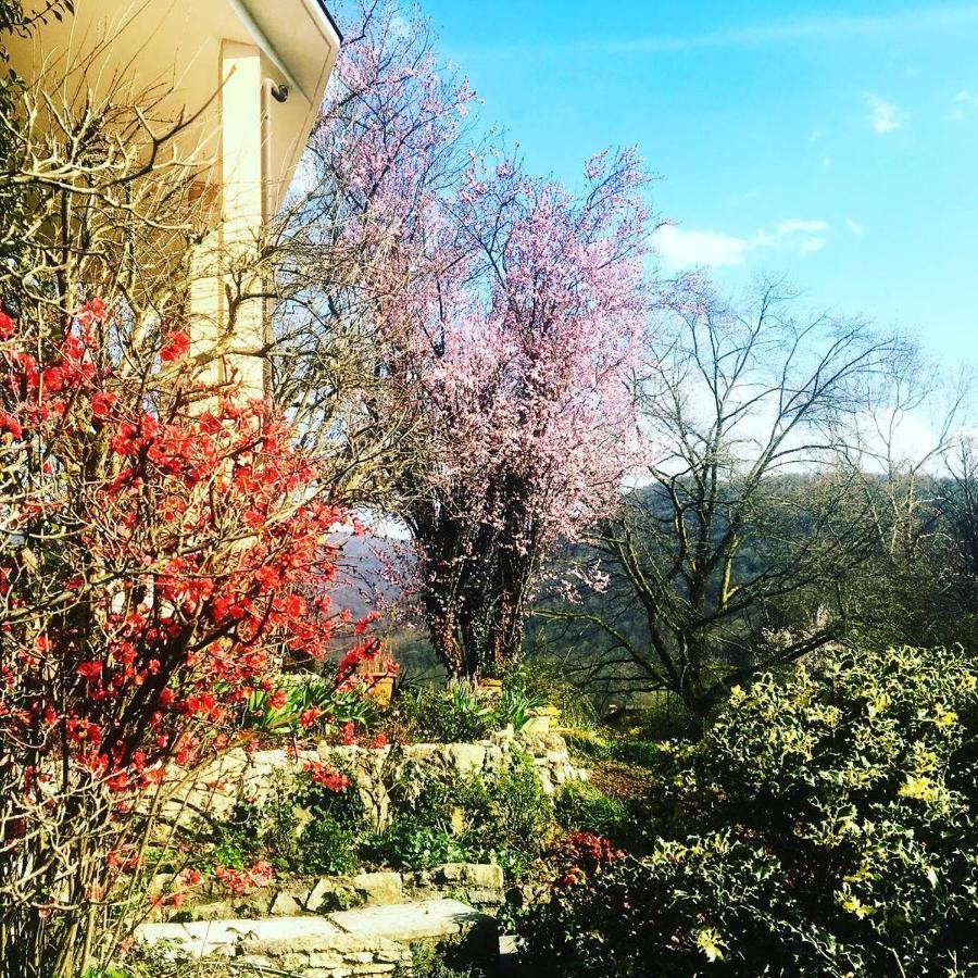 La Valle B&B Brescia Exterior foto